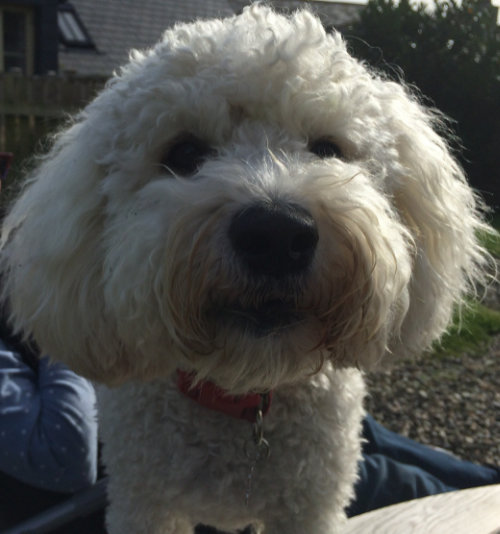 Charlie